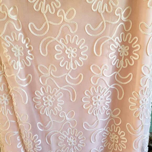 Nahdree by Victor Costa Blush Pink Lace Gown - Picture 5 of 5